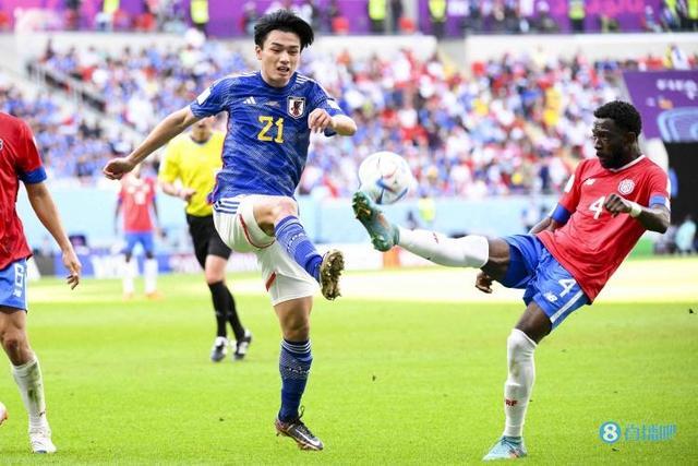 增添了无数 增添了无数