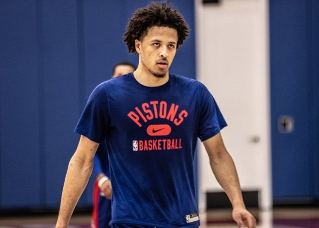 引发了不少 引发了不少